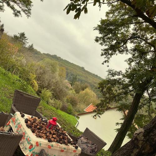 Fehér Bagoly Vendégház (Feher Bagoly Vendeghaz) in Kovácsszénája