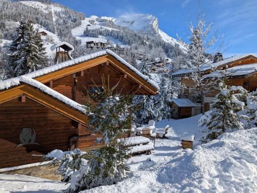 Chalet de l'Ours, 4 étoiles, avec spa et proche des pistes - Location, gîte - La Clusaz