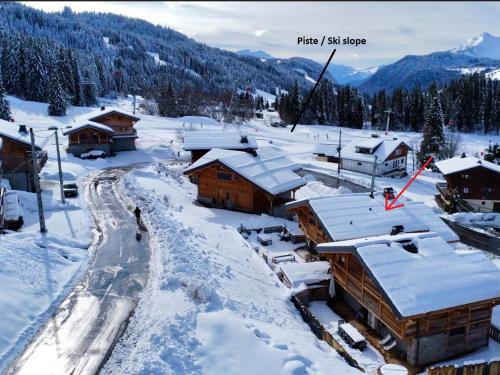 Chalet Les Gets 6 pièces 12 personnes - FR-1-598-66 - image 2