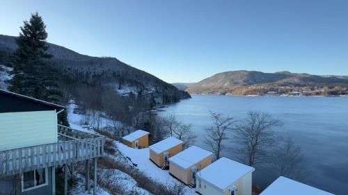 Knotty Pine Cottages, Suites & Motel Rooms