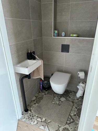 ห้องน้ำ, The green house in Spijk in สปิจเนนิซ