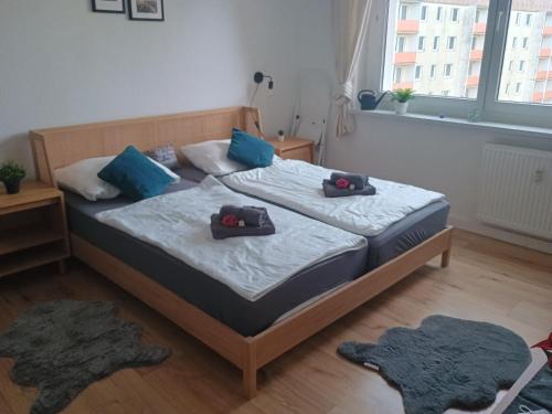 Ferien Appartment Erholung in 考斯威格