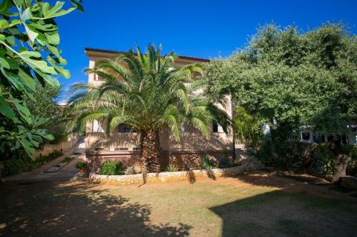 Apartments Lea-with terrace Mandre