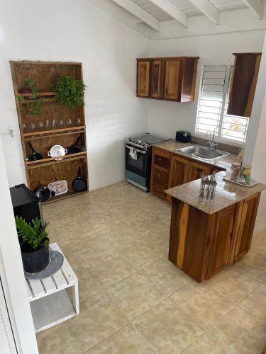 مطبخ, Sians Starfruit Villa in فالماوث