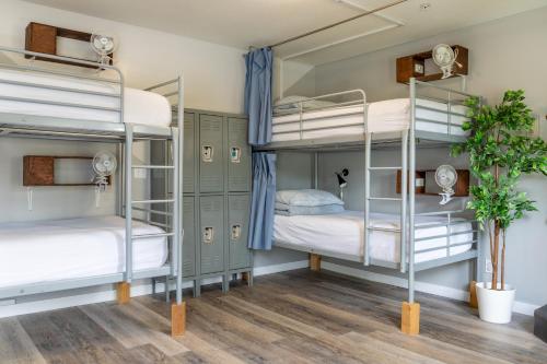 Shared room, mixed dormitory, 6 guests