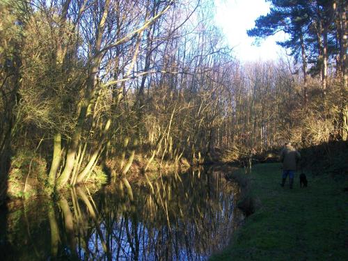 Elmfield House - image 10