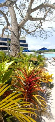 Cartagena Deluxe apartamento Baia Kristal