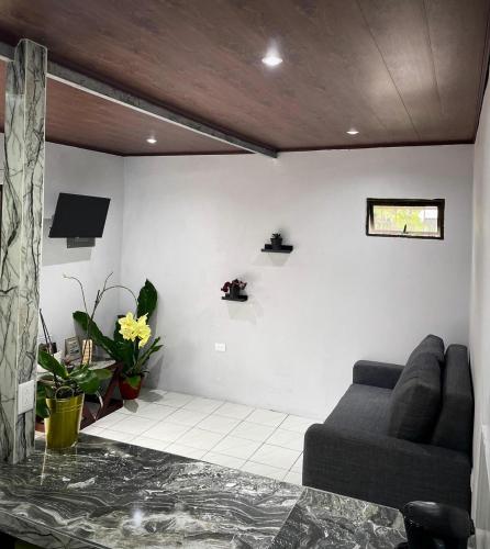 Villa JADE, La Fortuna Downtown Apartment, Fortuna (photo 8)