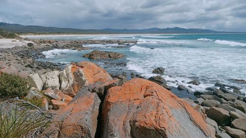 Заобикаляща среда, Beaumaris Beach Guest House in Beaumaris