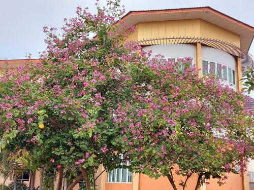 Paradise Residence & Hotel in Chaiyaphum