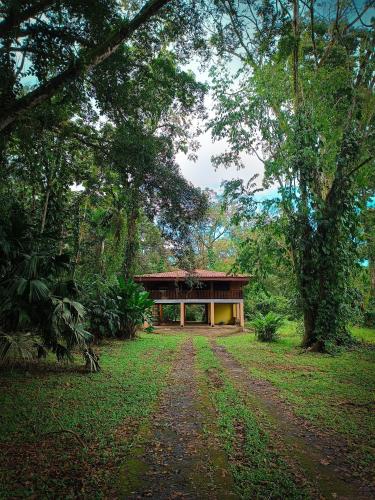 Casa corazón verde, Jiménez