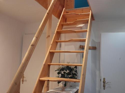 Ferienwohnung Marion Franke - image 5