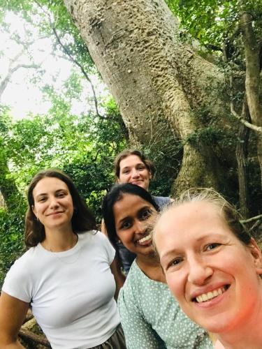 锡吉里亚格林伍德酒店