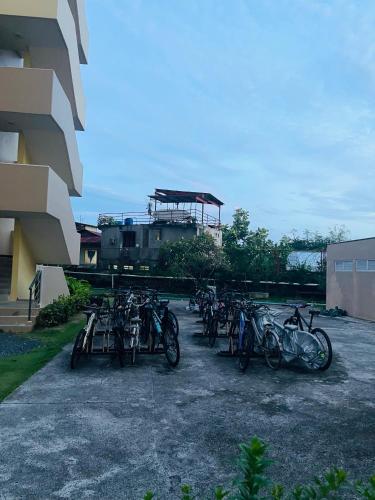 Jack's Cabin Jack's Cabin