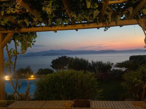 Ines’s Dream Ines’s Dream