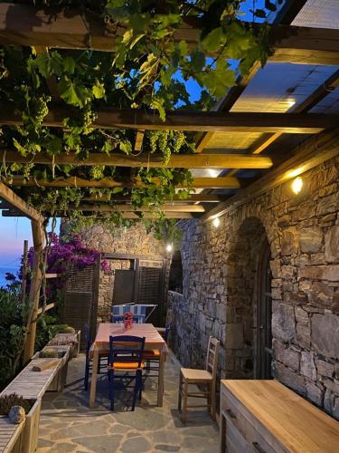 Ines’s Dream Ines’s Dream