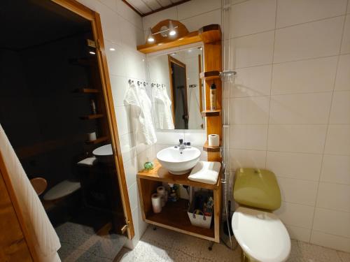 Bathroom, As 10 Lumi incl Sauna, Wifi in Valkeakoski