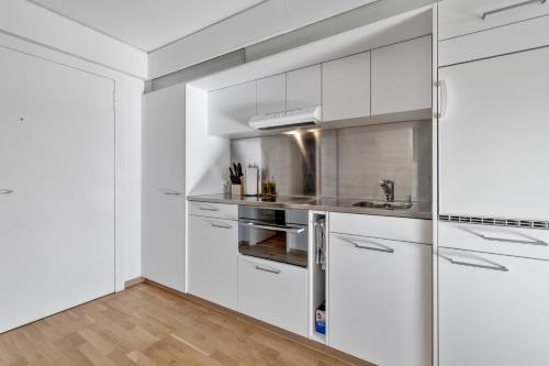 Studio mit Bergblick Titlis, Luzern, Pilatus, See, Engelberg (Foto 9)
