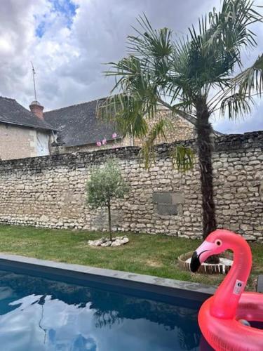 Skats, Maison de village sud Touraine avec piscine proche Chinon Azay in Cravant Les Coteaux