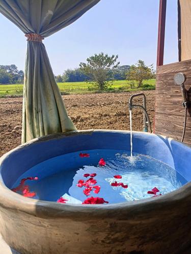 Six Nature Resort in Mae Khao Tom