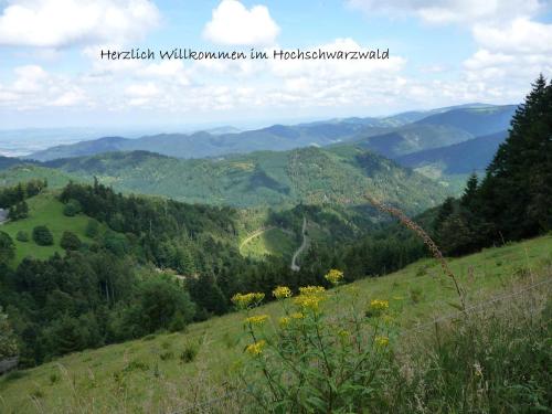 Ferienhaus Elfi Mit 85qm