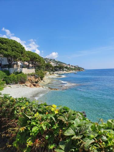 Appartement vue mer, pietranera in San Martino Di Lota