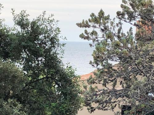 Apartment du Pic de l 'Ours