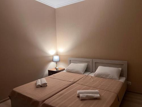 Hotel Sataplia in 库台斯