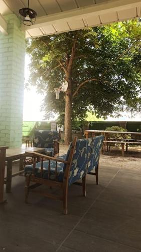 El Pinsapo in La Estacion de El Espinar