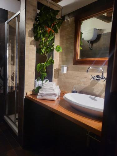 Panoramic apartment - Ariccia centro in 阿里恰