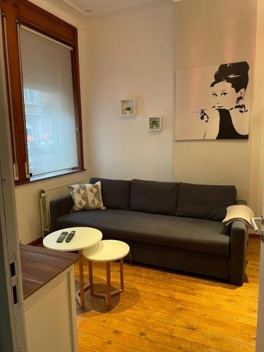 Charmant studio cosy au cœur d'Ixelles, Brussels (photo 9)
