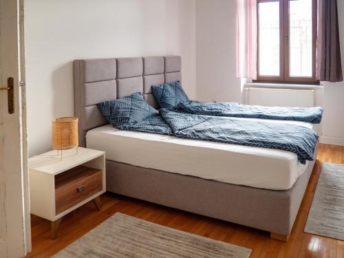 Historic Apartment in Center