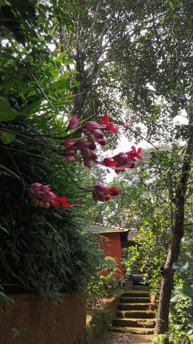 JUNGLE VALLEY AYURVEDIC SPa RESORT - image 2