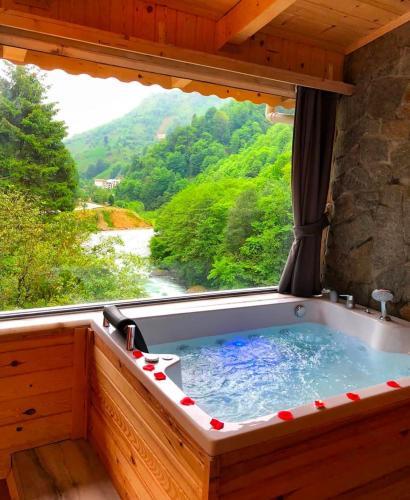 VALLEY SUiT OTEL – Rize, WI