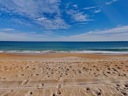 Bathing Suit Beach Bungalow Bathing Suit Beach Bungalow