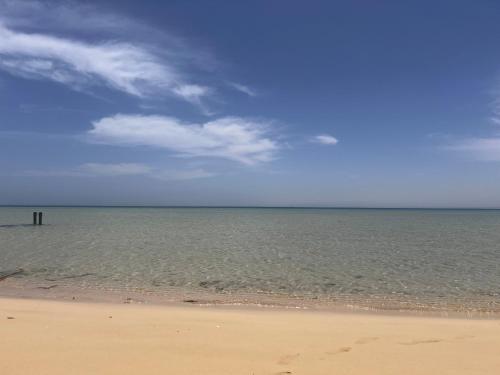 Green sudr in Ras Sedr