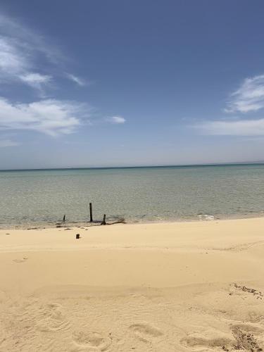 Green sudr in Ras Sedr