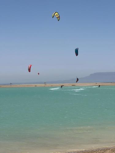 Green sudr in Ras Sedr