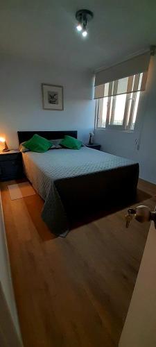 Escápate a Viña en pareja en este departamento precioso!!!