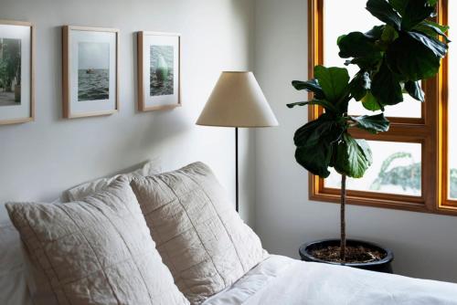 San Juan Featured in Architectural Digest Plus Sauna, Los Angeles (fotografie 3)