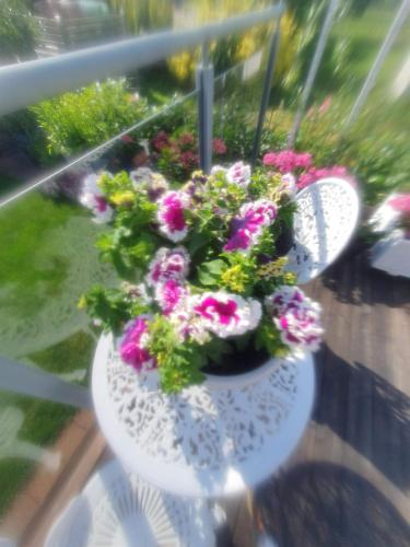 Falkenberg Olofsbo Havsbad in Falkenberg