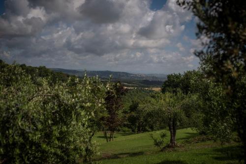 Poggio Paradiso Resort & Spa  - image 2