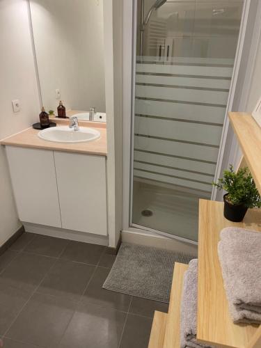 Appartement T1 Colomiers proche AIRBUS in Colomiers