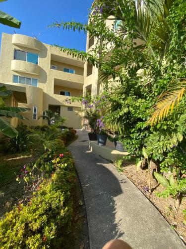 Casa Ceiba in San Francisco, Mexico