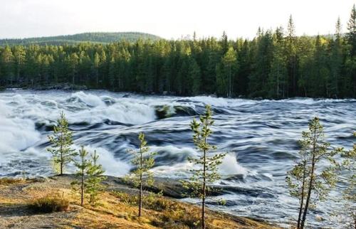 Közeli látványosságok, Holiday in Lapland near Lyckselei repülőtér