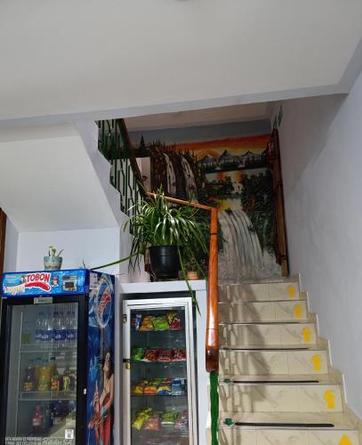 ล็อบบี้, Hotel Gamma Pasto in ปาสโต