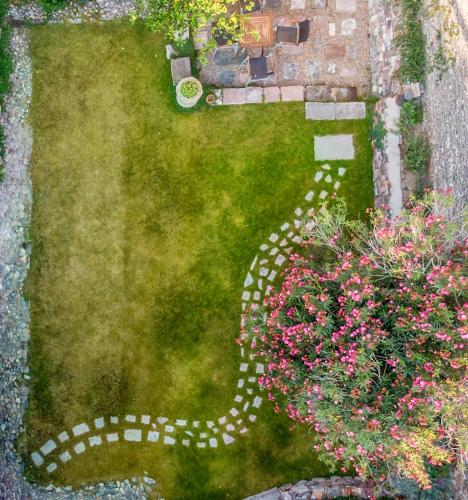 643046893 Orchid House San Miguel de Allende