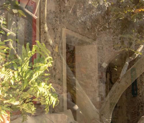 643048636 Orchid House San Miguel de Allende