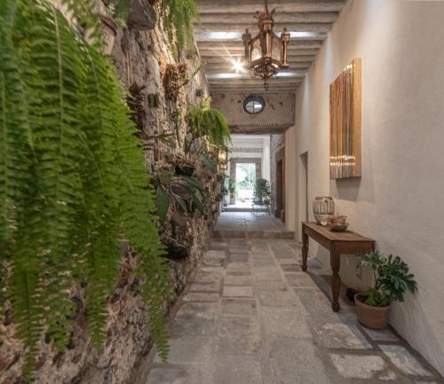 643049159 Orchid House San Miguel de Allende