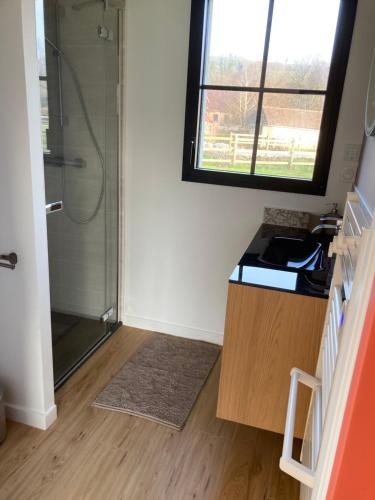 Fürdőszoba, Les Petites Maisons dans la Prairie - 2 in Maresville